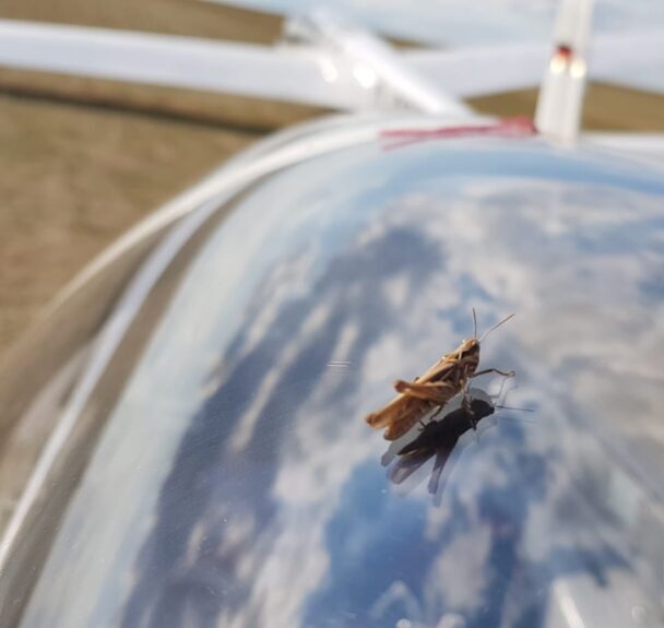 Fliegerlager Coronazeiten